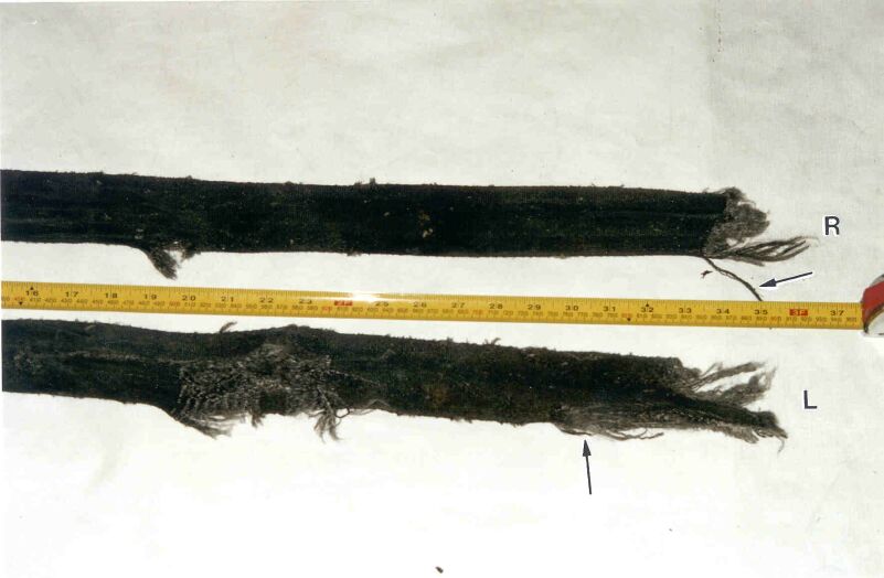 First officer's left and right shoulder belts (lower pair)