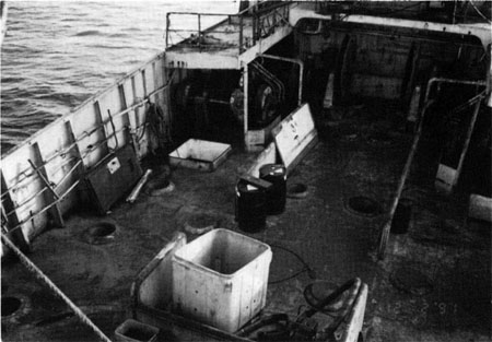  "NADINE" after refloating 