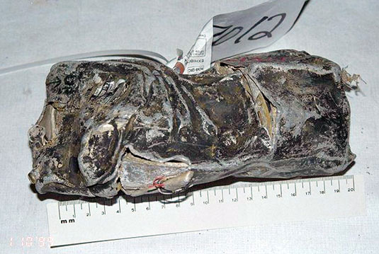 Boîtier du SAI - vue avant