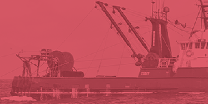 Commercial fishing safety